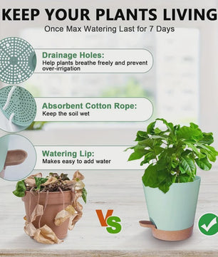 Set van 5 Zelfwaterende Plantenpotten voor Binnen - Diverse Maten (5-7 Inch)