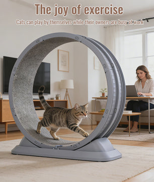 Groot Kattenloopwiel 31.5 inch - Stil & Veilig - Afneembaar Tapijt - Indoor Fitness Loopband voor Katten