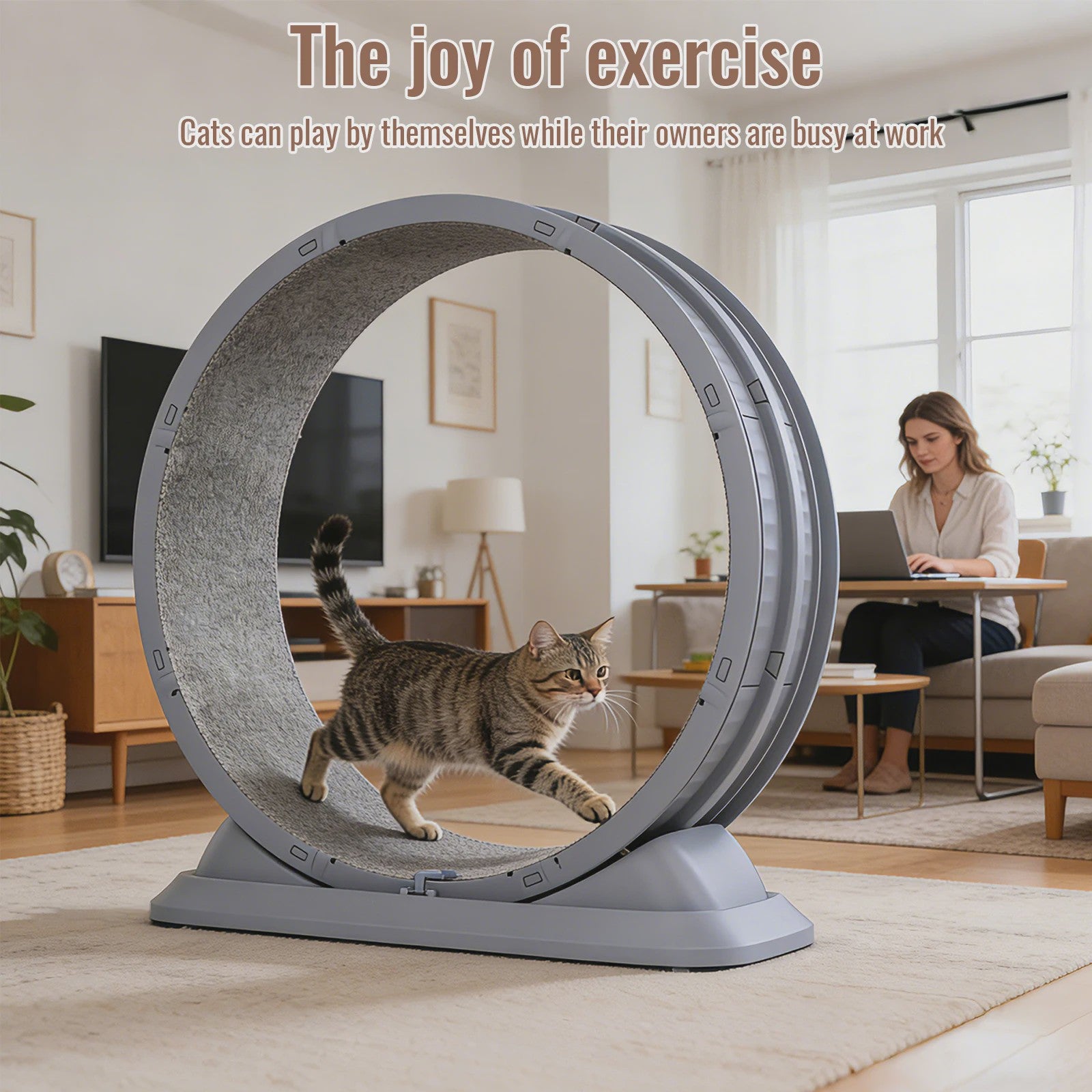 Groot Kattenloopwiel 31.5 inch - Stil & Veilig - Afneembaar Tapijt - Indoor Fitness Loopband voor Katten