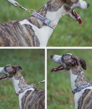 Verstelbare Hondenhalsband - Reflecterend Nylon, Ademend & Duurzaam voor Middelgrote tot Grote Honden