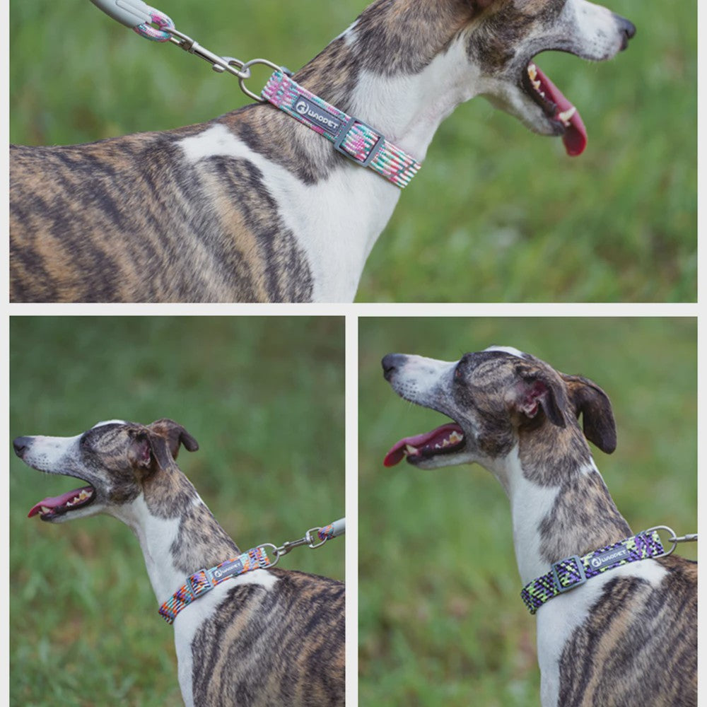 Verstelbare Hondenhalsband - Reflecterend Nylon, Ademend & Duurzaam voor Middelgrote tot Grote Honden