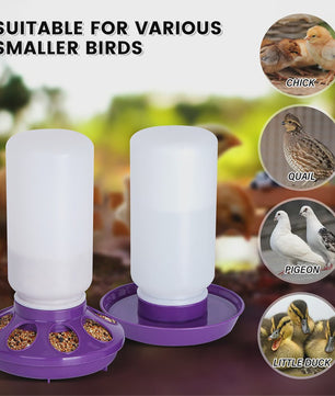 Automatische 1L Kippenvoerbak en Waterdispenser voor Kuikens en Vogels