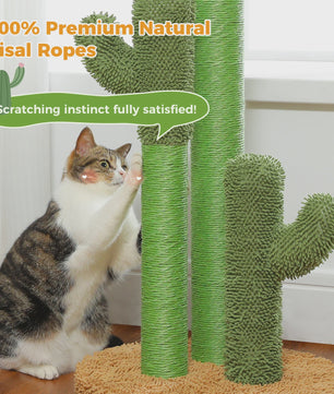 Cactus Krabpaal XL voor Katten - 3 Sisal Palen & Speelbal