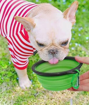 Draagbare Opvouwbare Voer- en Waterbak voor Honden en Katten - Duurzaam Siliconen