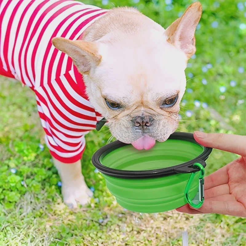 Draagbare Opvouwbare Voer- en Waterbak voor Honden en Katten - Duurzaam Siliconen