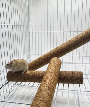 Natuurlijke Houten Klimtak voor Reptielen - Terrarium Decoratie & Speelgoed