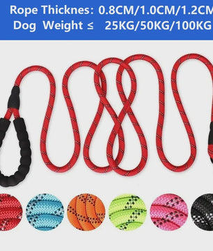 Sterke Hondenlijn met Zacht Handvat - 120/150/200/300cm - Voor Kleine tot Grote Honden