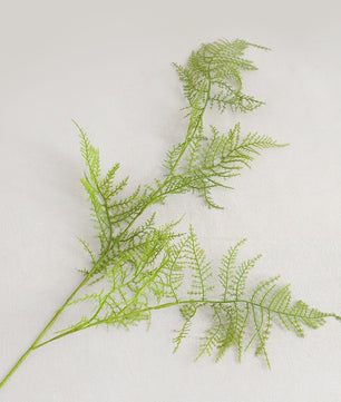 Set van 4 Kunst ASPERGE Varens Takken - 97cm Groen Decoratief