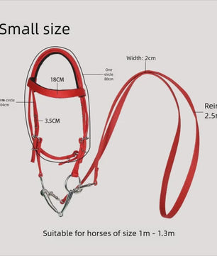 Verstelbaar Paard Halster met Longeerlijn Set - Nylon, 2.5m Lijn