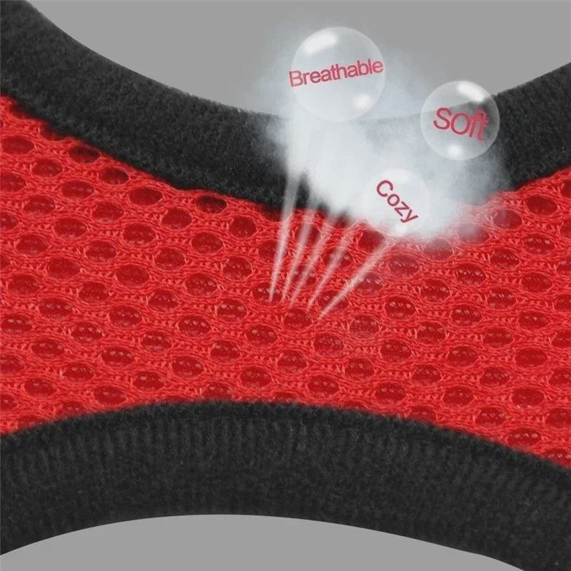 Verstelbaar Katten Tuigje met Lijn - Ademend Mesh Vest voor Kleine Honden & Katten