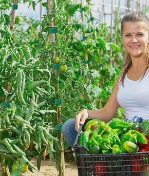 20 Meter Herbruikbare Plantenband - Verstelbare Nylon Tuinband voor Plantensteun