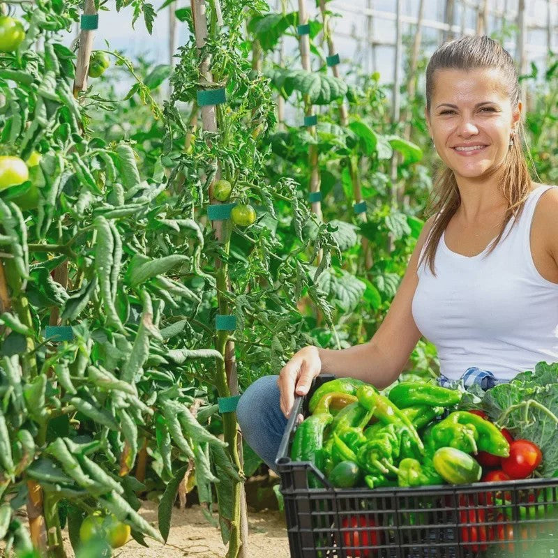 20 Meter Herbruikbare Plantenband - Verstelbare Nylon Tuinband voor Plantensteun