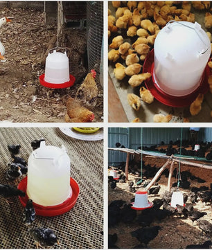 Automatische Kippen Drinkbak 3L - Plastic Watertrog voor Pluimvee