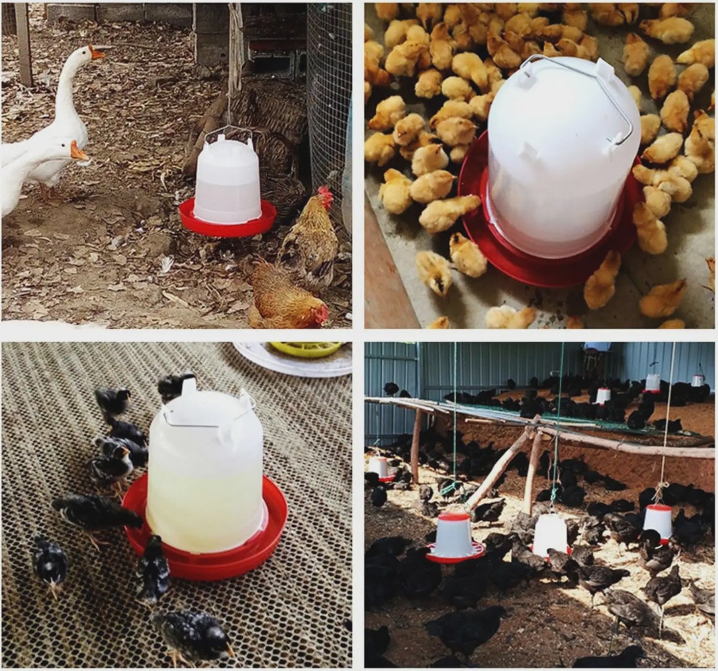Automatische Kippen Drinkbak 3L - Plastic Watertrog voor Pluimvee