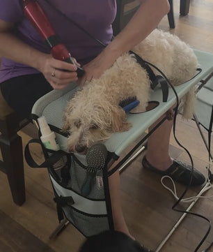 Opvouwbare Hond & Kat Trimtafel met Staander - Ideaal voor Baden en Verzorging