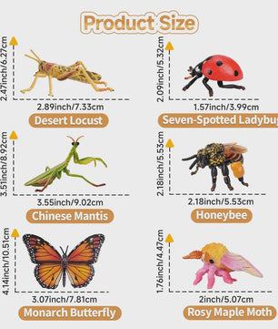 Toymany 12-delige Insecten Speelgoed Set - Realistische Mini Figuren voor Kinderen, Cadeau & Taartdecoratie