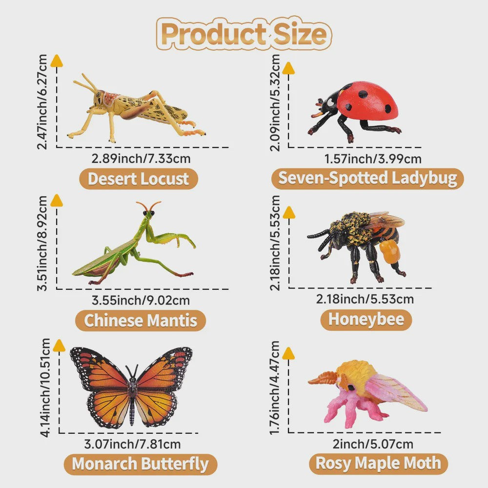 Toymany 12-delige Insecten Speelgoed Set - Realistische Mini Figuren voor Kinderen, Cadeau & Taartdecoratie