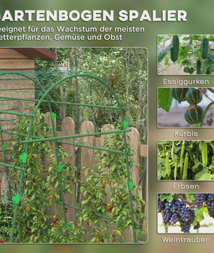 Stevig Klimplantenrek met Netting - Verstelbaar Tuinframe voor Groenten, Fruit en Meer - Groen
