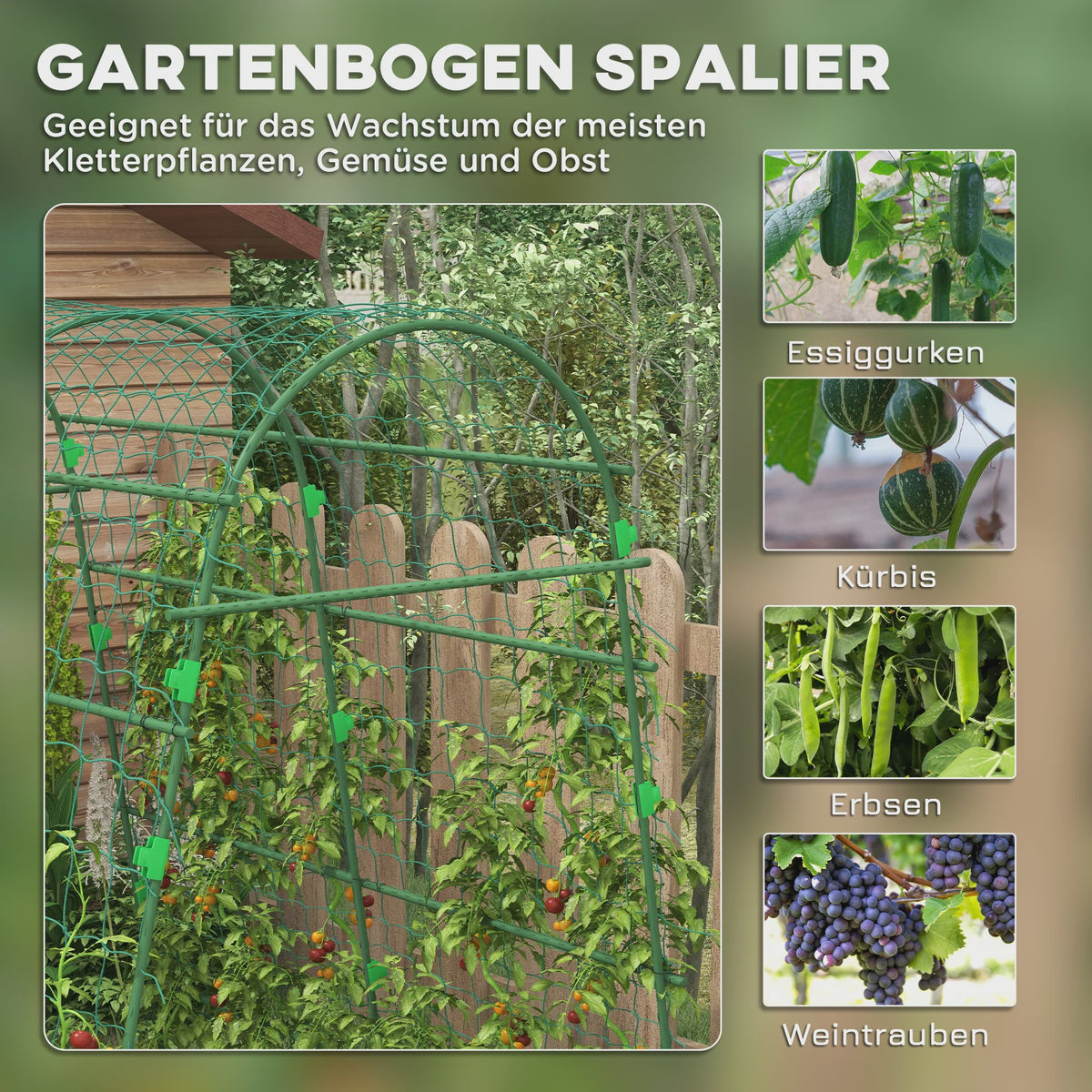 Stevig Klimplantenrek met Netting - Verstelbaar Tuinframe voor Groenten, Fruit en Meer - Groen