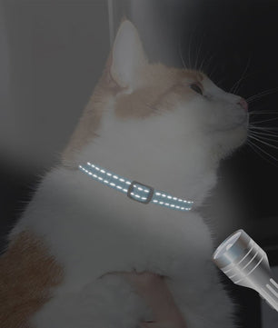 Gepersonaliseerde Kattenhalsband met Gravure, Bel & Reflecterend - Veilig & Stijlvol