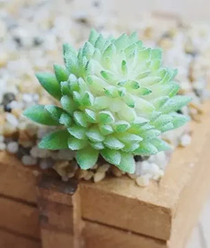 Set van 7 Kunstmatige Succulenten - Realistische Nep Plantjes voor Decoratie