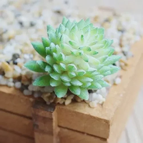Set van 7 Kunstmatige Succulenten - Realistische Nep Plantjes voor Decoratie