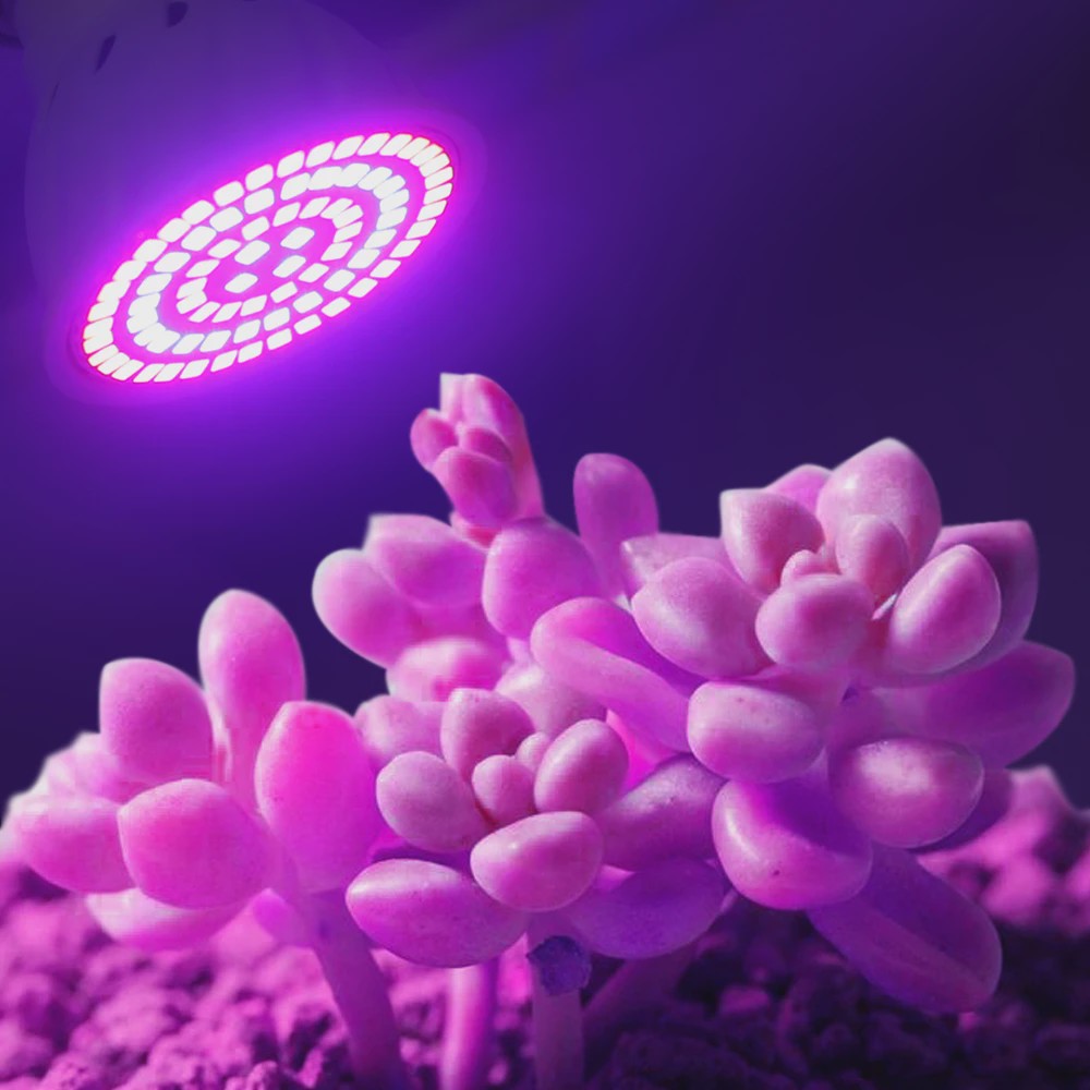 Full Spectrum LED Groeilamp E27 80 LEDs - Plantenlamp voor Binnenkweek