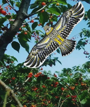 Vliegende Roofvogel Vlieger - Grote Adelaar Vogelverschrikker voor Tuin en Boerderij