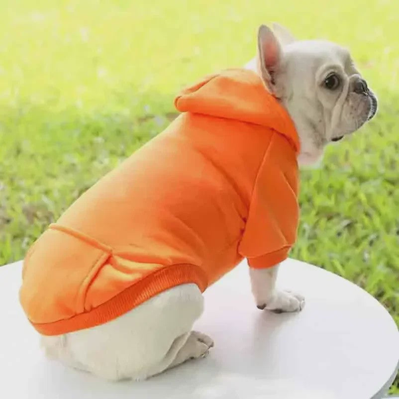 Warme Hondenhuisjes Hoodie voor Herfst & Winter - Comfortabele Pet Kleding