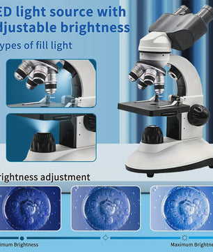 Professioneel Binoculair Optisch Microscoop (40x-5000x) met LED Verlichting en 4-Hole Revolver