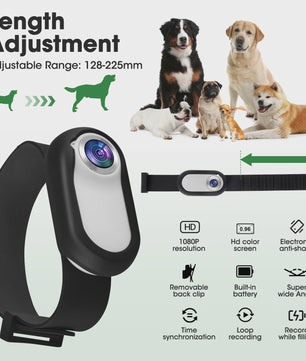 Mini Huisdier Camera voor Halsband - 1080P HD Actiecamera voor Hond & Kat, Brede Hoek, Inclusief 32GB SD Kaart