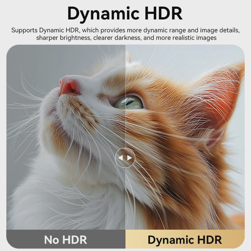 8K USB-C naar DisplayPort Kabel (DP 1.4) - 8K@60Hz, 4K@120Hz/240Hz - Bidirectioneel