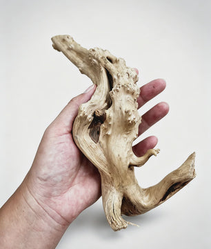 Uniek Drijfhout Decoratie voor Aquarium en Terrarium - Natuurlijke Wortelstructuren (7-26cm)