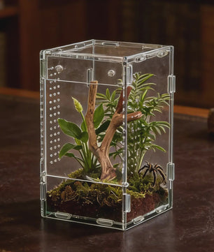 Transparant Acryl Terrarium Kweekbak voor Reptielen, Amfibieën & Spinnen