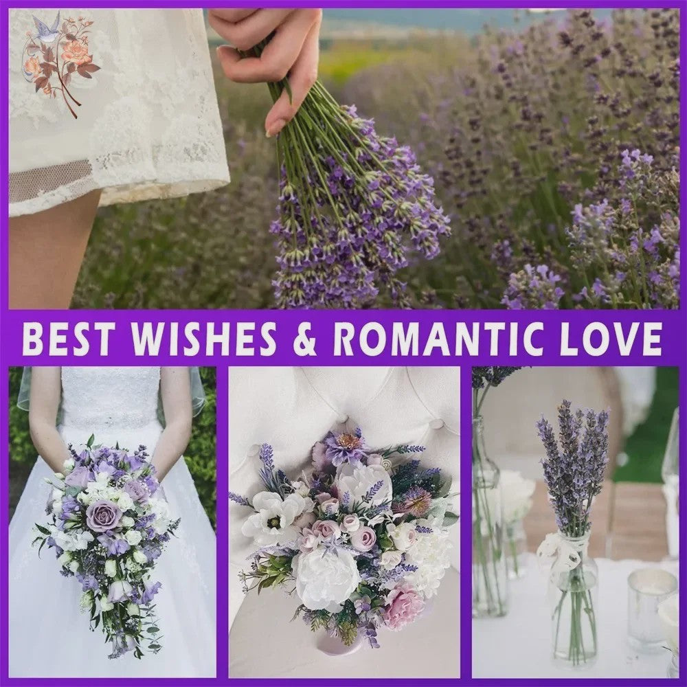 Natuurlijke Gedroogde Lavendel Bundels (50/100 Stuks) - Decoratie & Aromatherapie