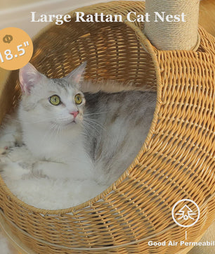 Dino Kattenkrabpaal met Mand en Sisalpaal - Rattan Design