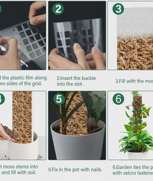 Mospaal voor Klimplanten - Stevige Plantensteun voor Binnen & Tuin