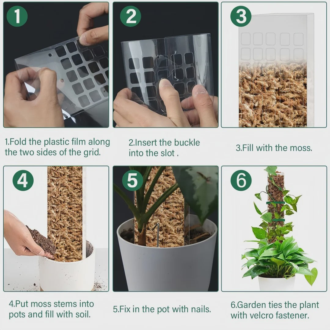 Mospaal voor Klimplanten - Stevige Plantensteun voor Binnen & Tuin
