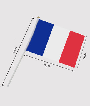 Franse Mini Vlaggetjes met Stokje - 14x21cm | Feest, Sport & Decoratie