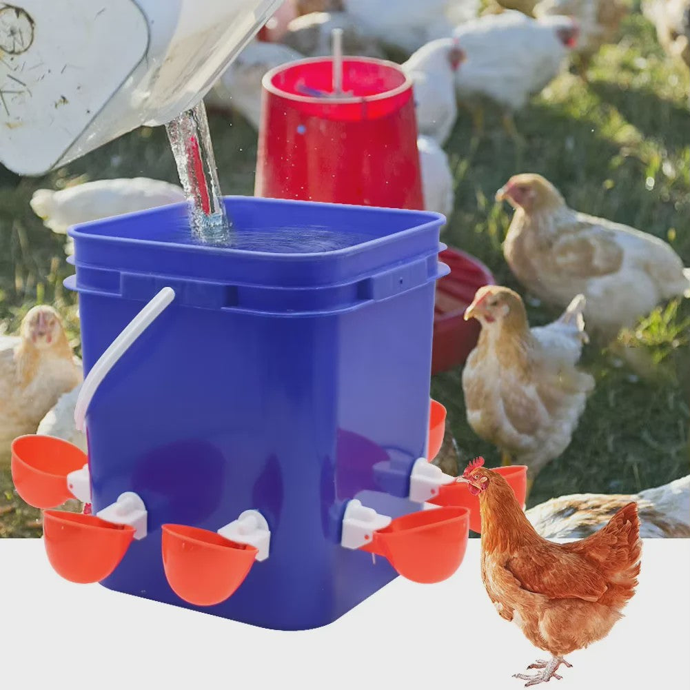Automatische Kippen Drinkbak 10L met 8 Voerbakjes - Zelfvullend