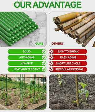 20x Stevige Tuinstokken - Multifunctionele Ondersteuning voor Groenten, Klimplanten & Fruit
