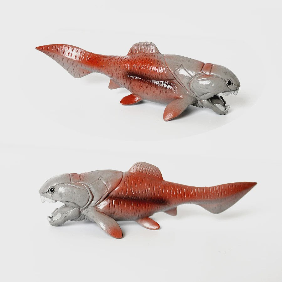 Educatieve Prehistorische Zeedieren Figuren Set: Baculite, Opabinia, Krab & Meer