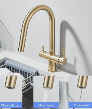 Keukenmengkraan met Uittrekbare Douchekop en Waterfilter - Goudkleurig