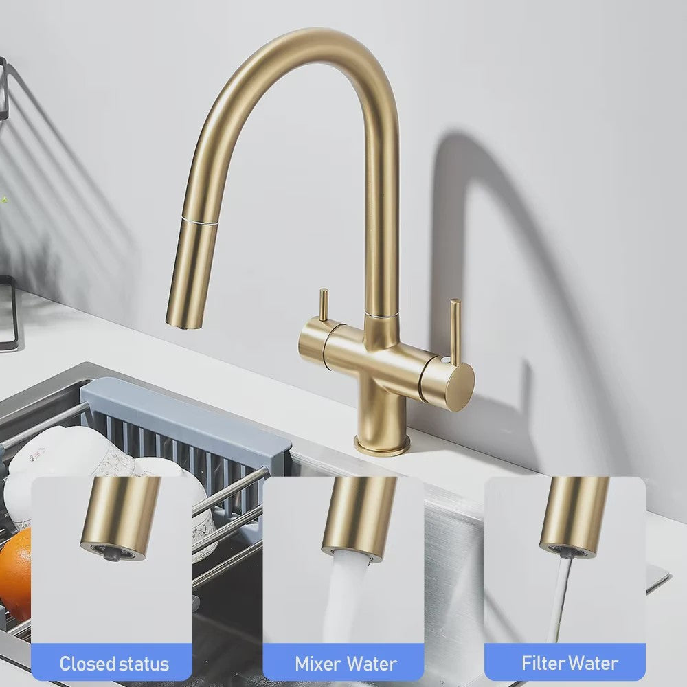 Keukenmengkraan met Uittrekbare Douchekop en Waterfilter - Goudkleurig