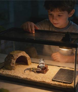 Automatische Waterdispenser voor Reptielen - Drinkbak voor Gecko, Schildpad, Hagedis