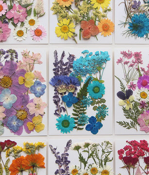 Set Gedroogde Bloemen & Bladeren (16-19 Stuks) - Natuurlijk & Realistisch