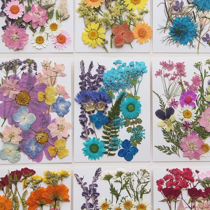 Set Gedroogde Bloemen & Bladeren (16-19 Stuks) - Natuurlijk & Realistisch