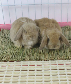 Vouwbaar Gras Nest Huisje voor Konijn, Hamster & Cavia - Natuurlijk Kauwspeelgoed