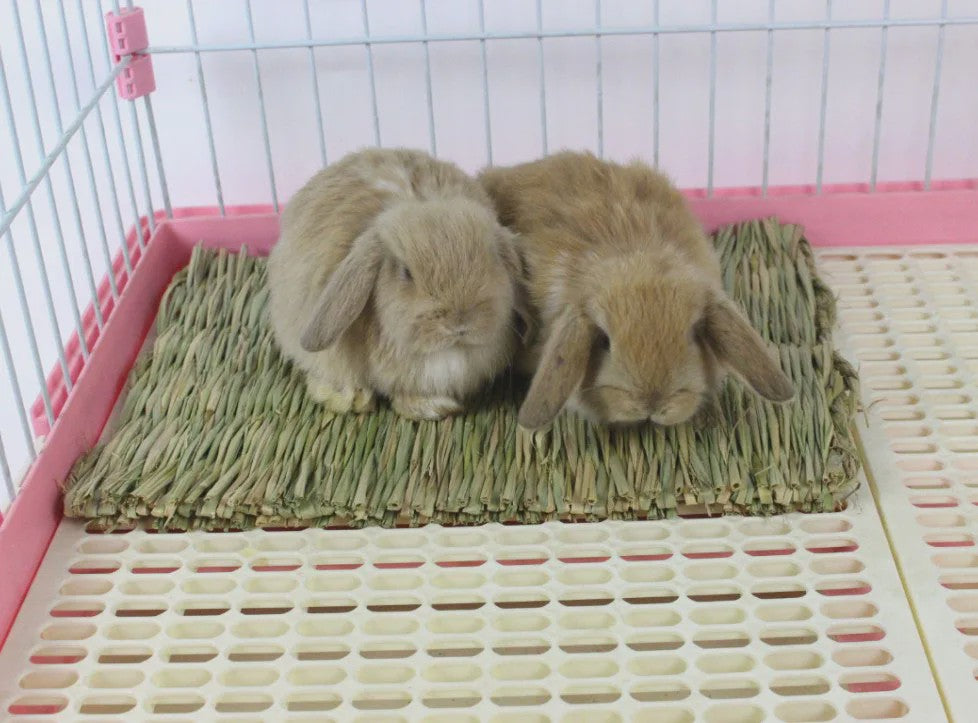 Vouwbaar Gras Nest Huisje voor Konijn, Hamster & Cavia - Natuurlijk Kauwspeelgoed