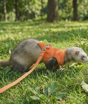 Veilig en Comfortabel Dinosaurusharnas met Riem voor Fretten, Hamsters en Cavia's